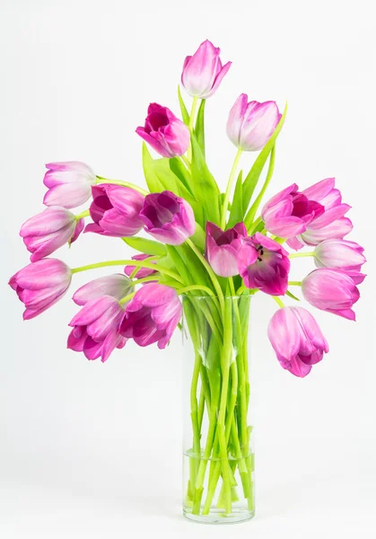 Рожеві тюльпани у високій скляній вазі — стокове фото