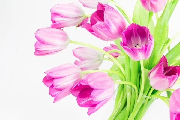 Рожеві тюльпани у скляній вазі — стокове фото