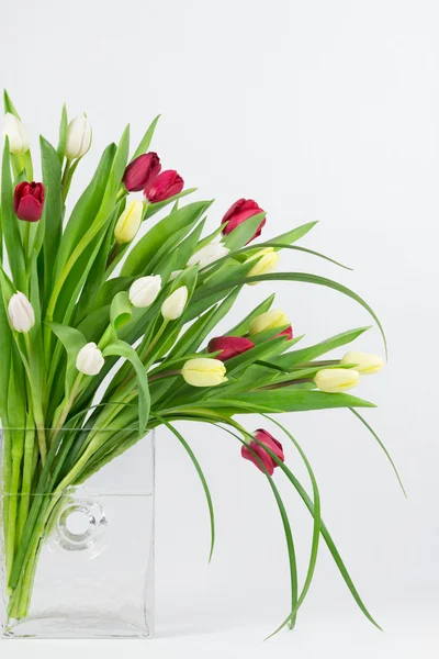 Mixed tulips in vase — Stock Photo, Image