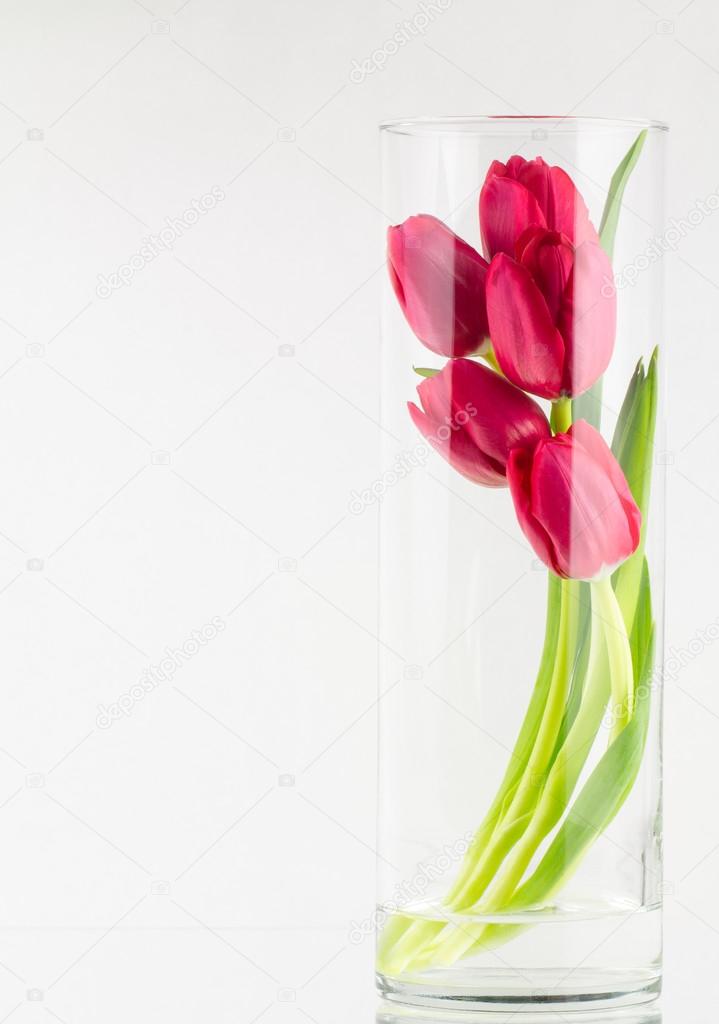 Red tulips in glass vase