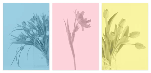 Üç monoton çiçek panel