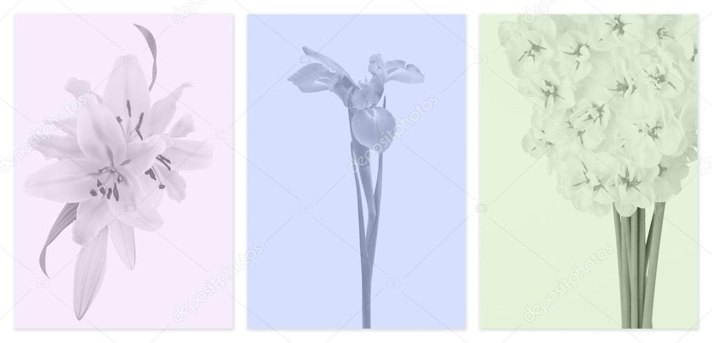 Muted color panels with flowers