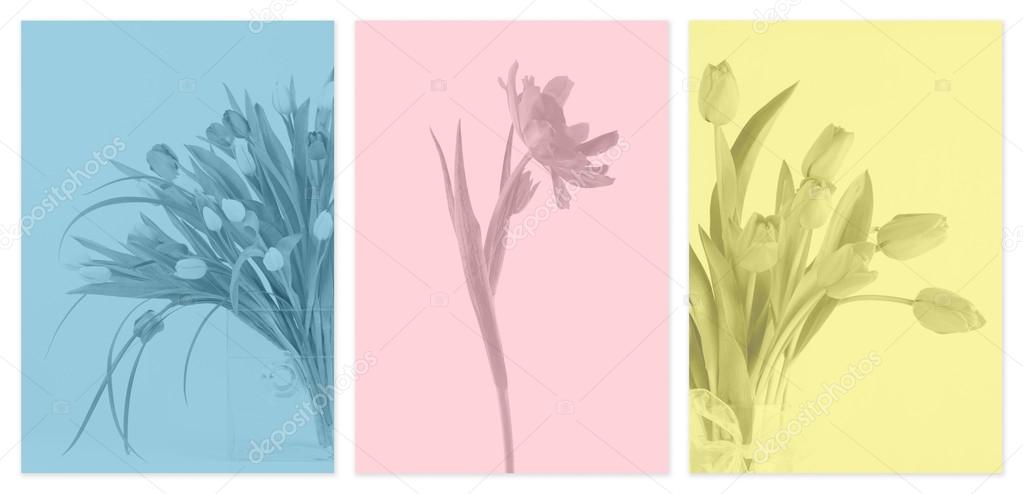 Three monotone flower panels