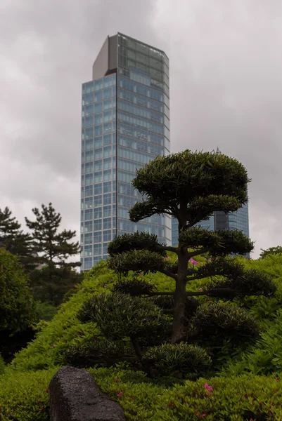 Tokyo, Japan, April — Stockfoto