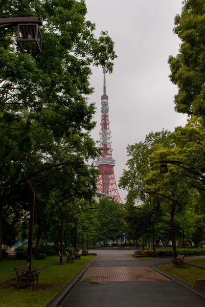 Tokyo, Japán, április — Stock Fotó