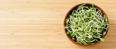 Mutfakta bir ayçiçeği filizleniyor.