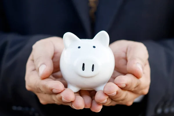 Saving money with pig piggy bank