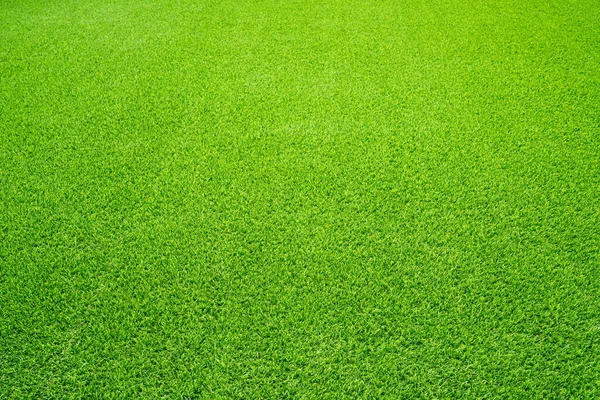 Green Grass Texture Background Top View Grass Garden Ideal Concept — Stock Photo, Image