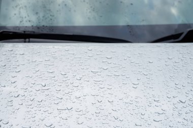 Yağmur damlaları ve çiy. yağmur durduktan sonra gri bir araba çatıüzerinde su damlaları , seçici odak su geçirmez yüzey. yumuşak odak. Metin arka planı yazmak için alan bırakın.
