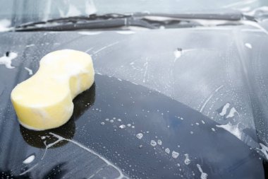 Sarı sünger ve sabun arabayı yıkamak için. Motor kaputu temizleniyor. Konsept araba yıkama. İleti yazmak için yer bırakın.