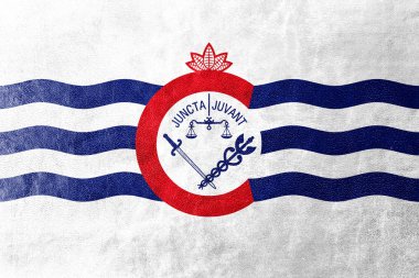 Cincinnati, Ohio, bayrağı deri dokusu üzerinde boyalı