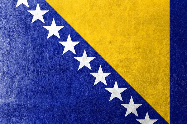 Flag of Bosnia and Herzegovina, painted on leather texture — Stock Photo, Image