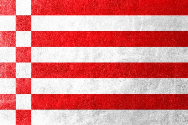 Флаг Бремена, окрашенный в кожаную текстуру — стоковое фото