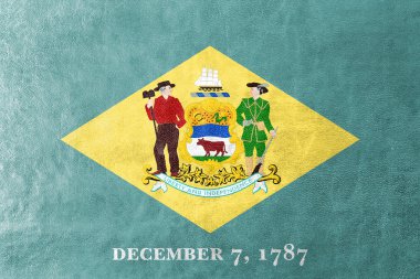 Delaware State, deri dokusu üzerinde boyalı bayrağı