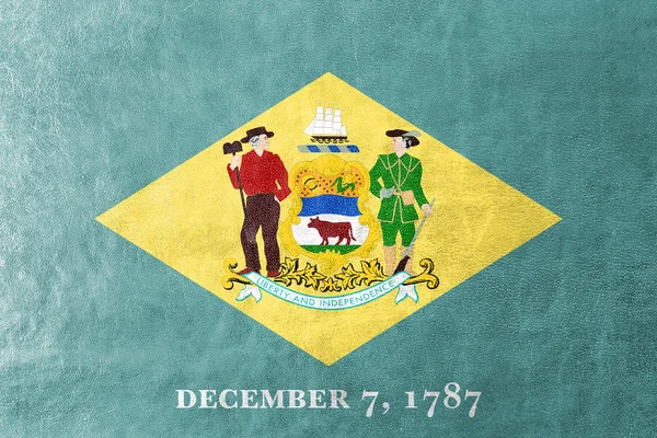 Delaware State, deri dokusu üzerinde boyalı bayrağı