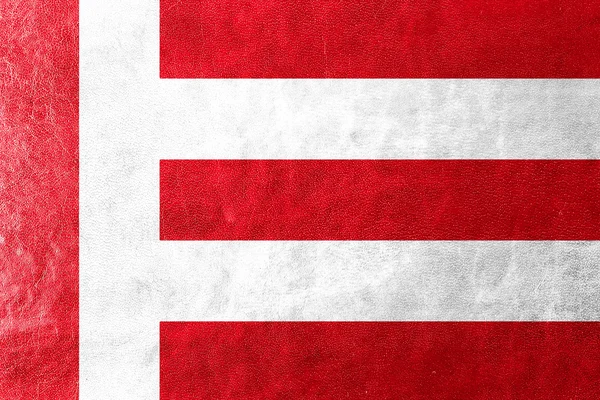 Flag of Eindhoven, painted on leather texture — Stock Photo, Image