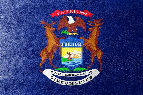 Michigan State, deri dokusu üzerinde boyalı bayrağı — Stok fotoğraf