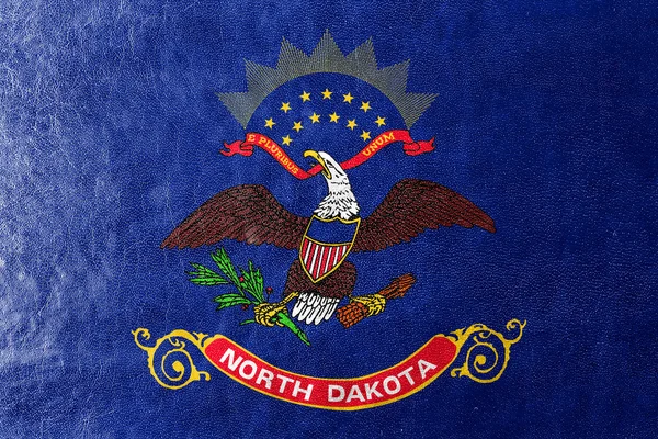 Bandera del Estado de Dakota del Norte, pintada sobre textura de cuero — Foto de Stock
