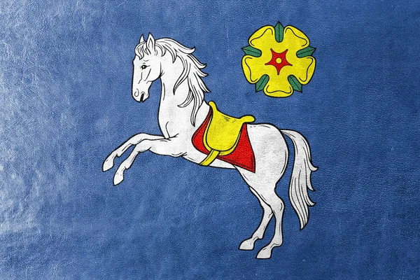 Прапор Острави, намальовані на текстуру шкіри — стокове фото