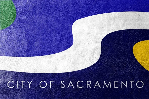 Flaga z Sacramento, California, malowane na tekstury skóry — Zdjęcie stockowe