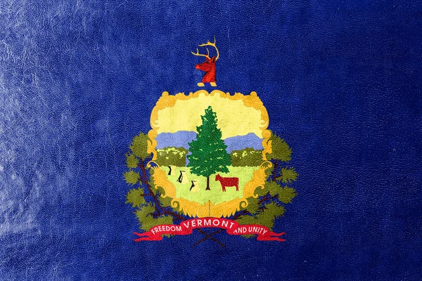 Flag of Vermont State, painted on leather texture — Stock Photo, Image