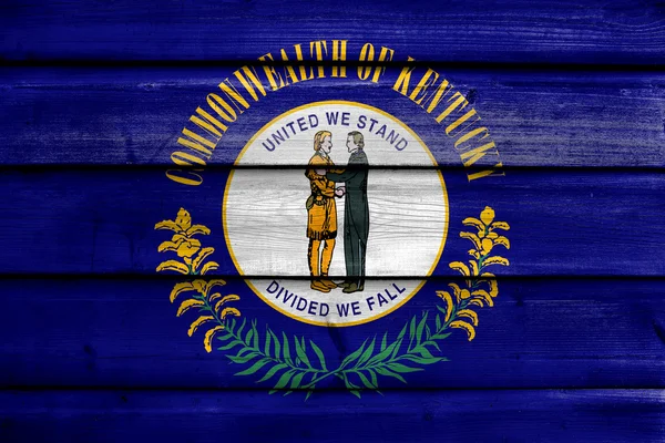 Flagge des kentucky state, gemalt auf altem Holzplankenhintergrund — Stockfoto