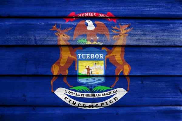 Michigan State, eski ahşap tahta zemin üzerine boyalı bayrağı — Stok fotoğraf