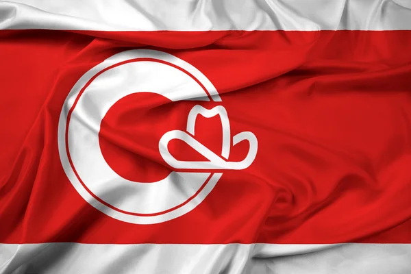 Bandera ondeante de Calgary — Foto de Stock