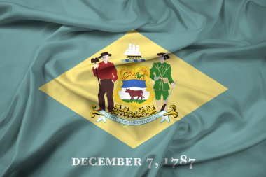 Delaware eyalet bayrağı sallayarak
