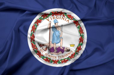 virginia commonwealth bayrağı sallayarak