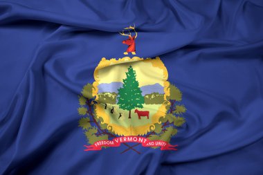 Vermont Eyalet bayrağı sallayarak
