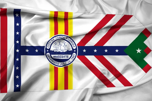 Bandera ondeante de Tampa, Florida —  Fotos de Stock