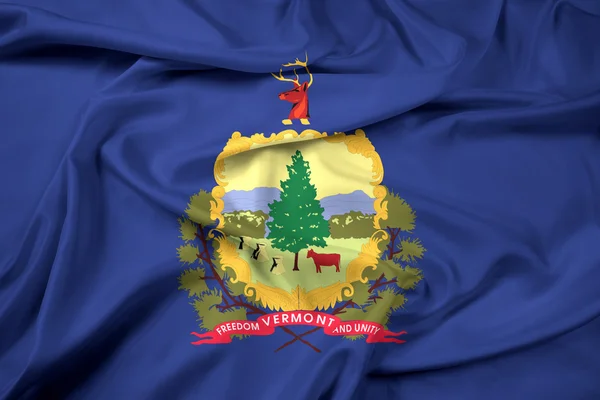 Розмахуючи прапором держави Вермонт — стокове фото