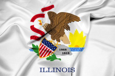 Illinois Devlet bayrağı sallayarak
