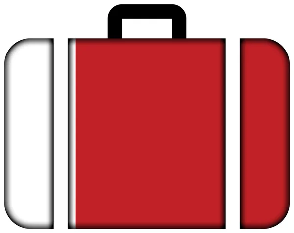 Flag of Dubai. Suitcase icon, travel and transportation concept — Stok fotoğraf