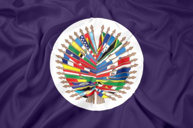 Amerikan Devletleri Örgütü bayrağı sallayarak