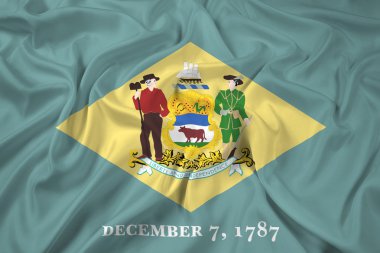 Delaware eyalet bayrağı sallayarak