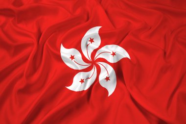hong kong bayrağı sallayarak