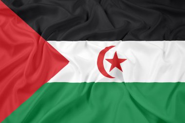 Sahra Arap Demokratik Cumhuriyeti bayrağı sallayarak