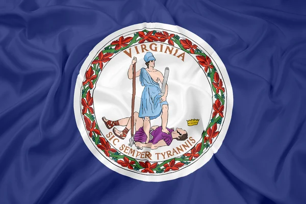 virginia commonwealth bayrağı sallayarak