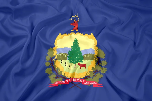 Vilkuttaa Vermontin osavaltion lippua — kuvapankkivalokuva