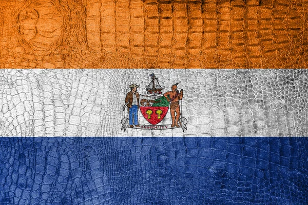 Bandera de Albany, Nueva York, sobre un lujoso lienzo de moda — Foto de Stock