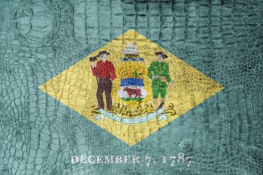 Delaware State, bayrağı bir lüks, şık tuval üzerine