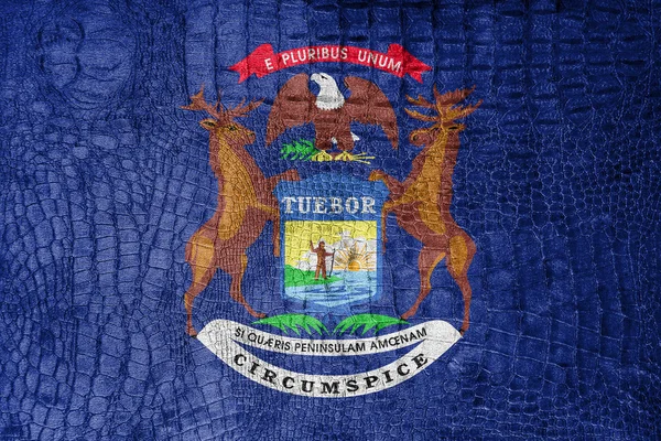 Michigan State, bayrağı bir lüks, şık tuval üzerine — Stok fotoğraf
