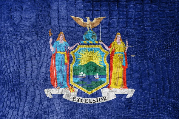 Флаг штата Нью-Йорк, на роскошном, модном холсте — стоковое фото