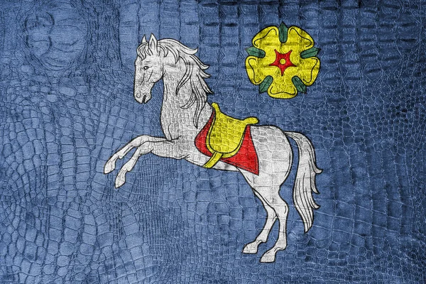 ओस्ट्रावा का ध्वज, एक लक्जरी, फैशनेबल कैनवास पर — स्टॉक फ़ोटो, इमेज