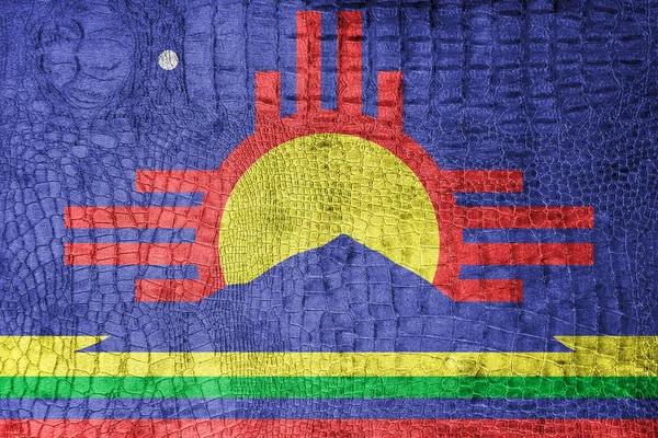 Vlag van de Amerikaanse staat New Mexico, en Roswell op een doek van luxe, trendy — Stockfoto