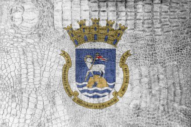 San Juan, Porto Riko, bayrağı bir lüks, şık tuval üzerine