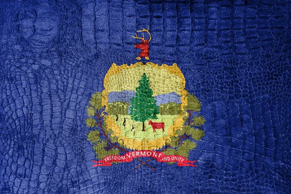 Vlajka státu Vermont, na plátně luxusní, módní — Stock fotografie