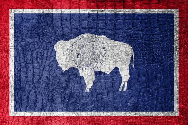 Bandeira do Wyoming State, em uma tela luxuosa e elegante — Fotografia de Stock